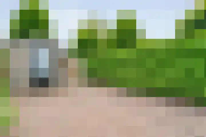 Esdoornlaan 53 Vroomshoop thumbnail 42