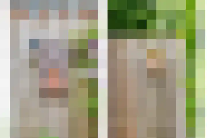 Esdoornlaan 53 Vroomshoop thumbnail 43