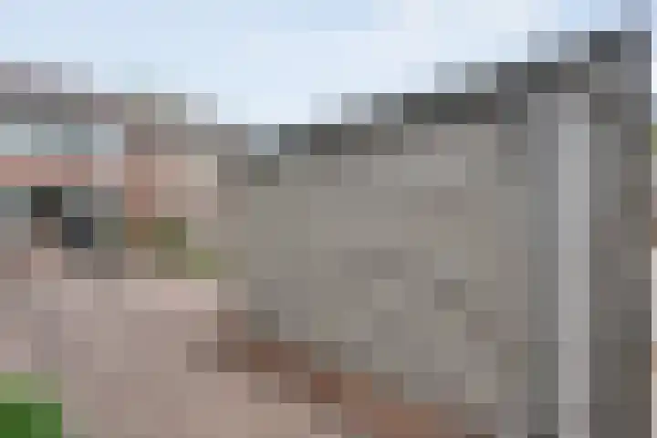 Esdoornlaan 53 Vroomshoop thumbnail 44