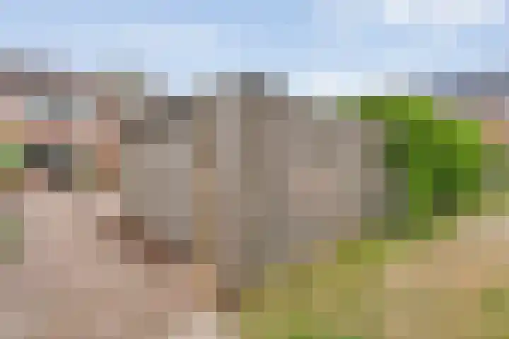 Esdoornlaan 53 Vroomshoop thumbnail 45