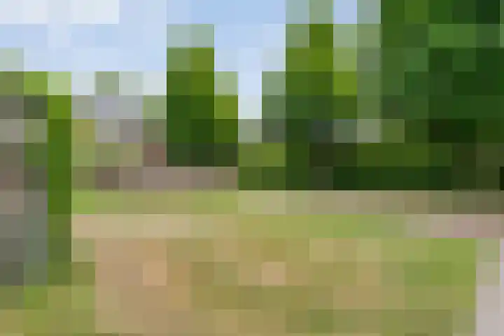 Esdoornlaan 53 Vroomshoop thumbnail 46
