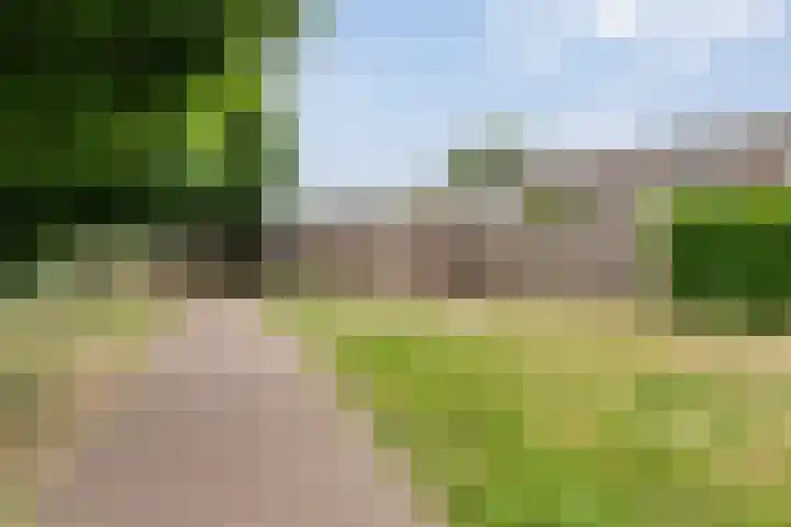 Esdoornlaan 53 Vroomshoop thumbnail 47