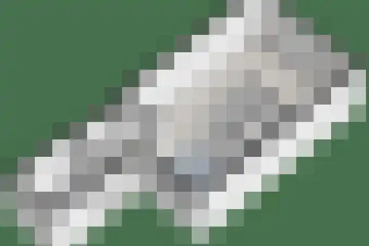 Esdoornlaan 53 Vroomshoop thumbnail 49
