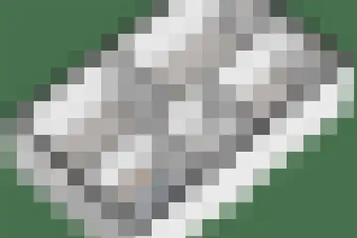 Esdoornlaan 53 Vroomshoop thumbnail 51