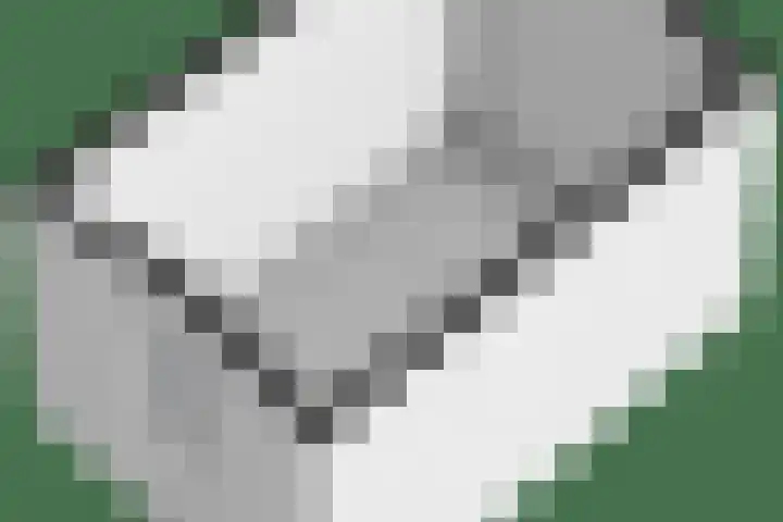 Esdoornlaan 53 Vroomshoop thumbnail 55