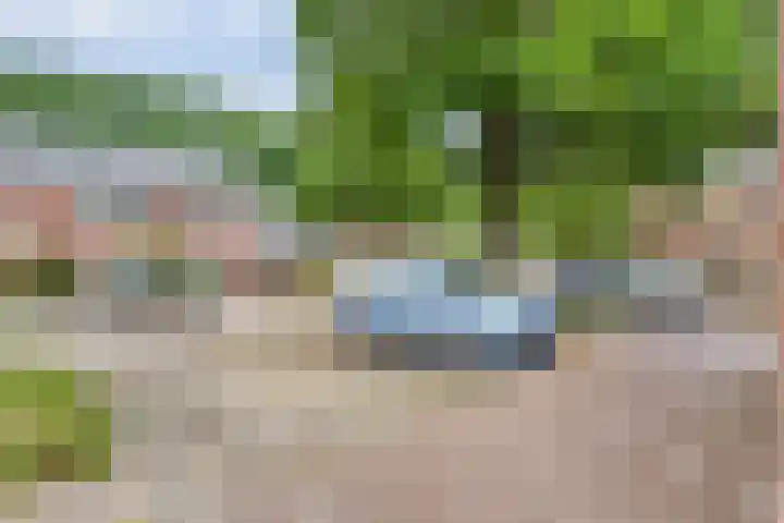 Esdoornlaan 53 Vroomshoop thumbnail 6
