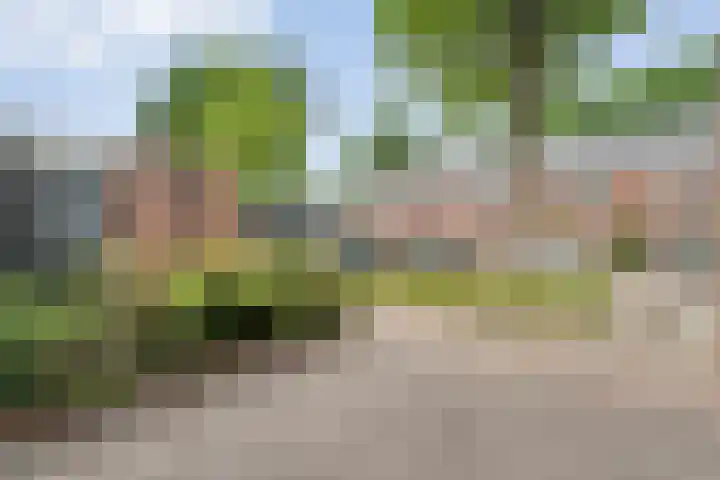 Esdoornlaan 53 Vroomshoop thumbnail 7