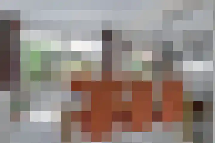 Esdoornlaan 54 Oudorp thumbnail 11