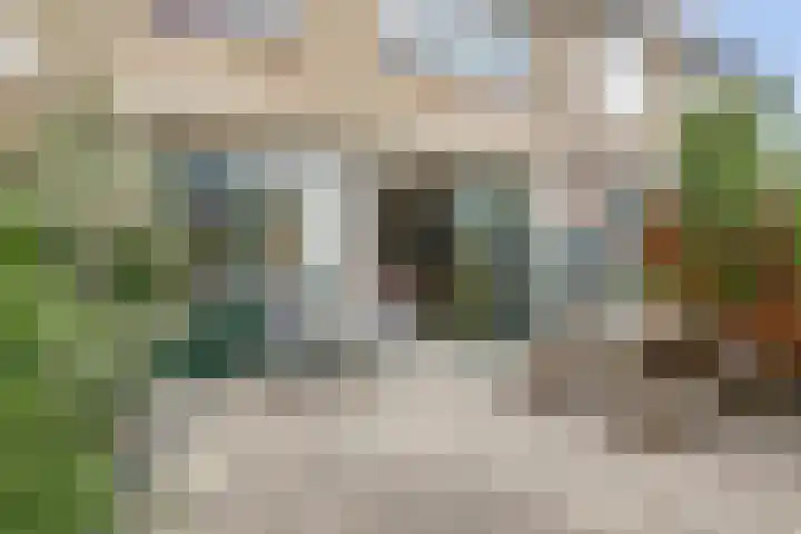 Esdoornlaan 54 Oudorp thumbnail 13