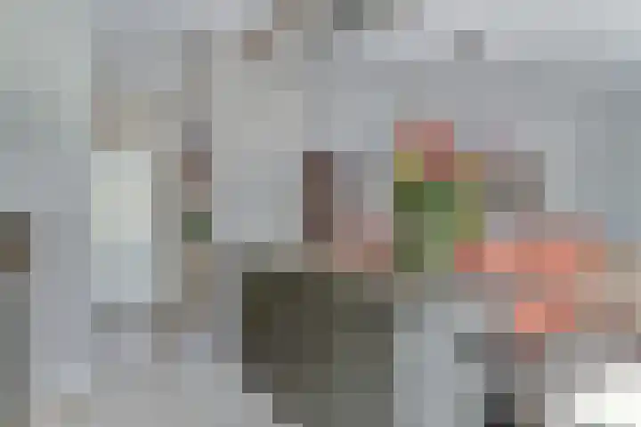 Esdoornlaan 54 Oudorp thumbnail 18