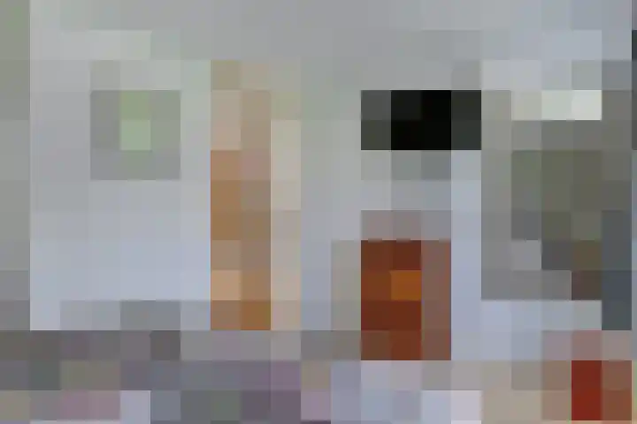 Esdoornlaan 54 Oudorp thumbnail 22