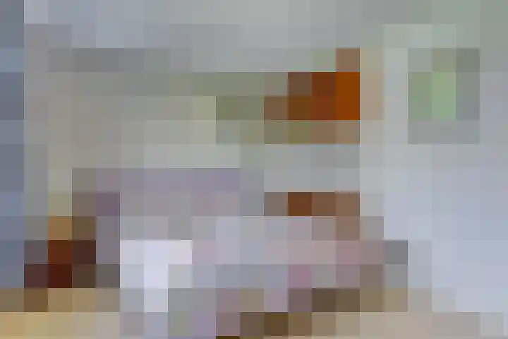 Esdoornlaan 54 Oudorp thumbnail 23