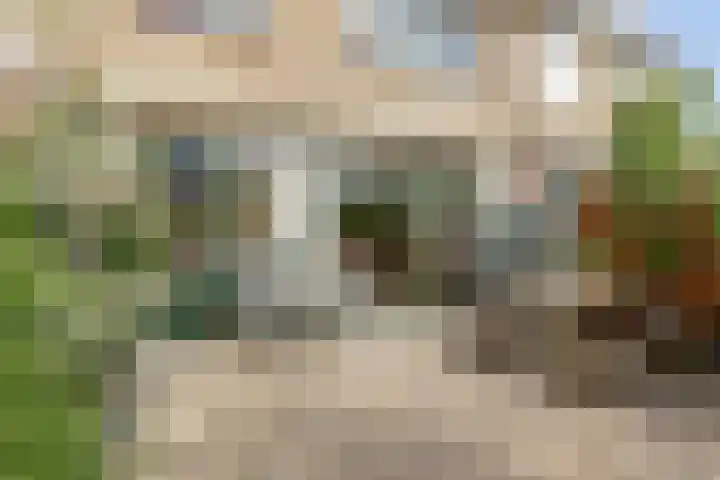 Esdoornlaan 54 Oudorp thumbnail 31