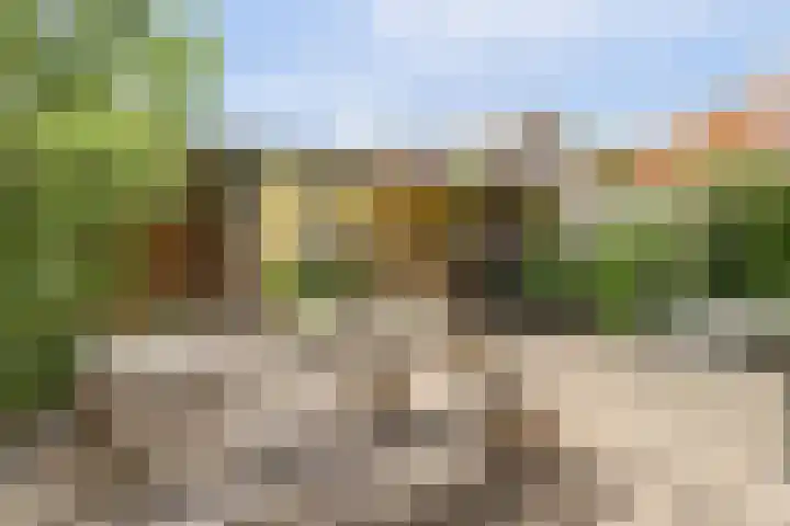 Esdoornlaan 54 Oudorp thumbnail 32