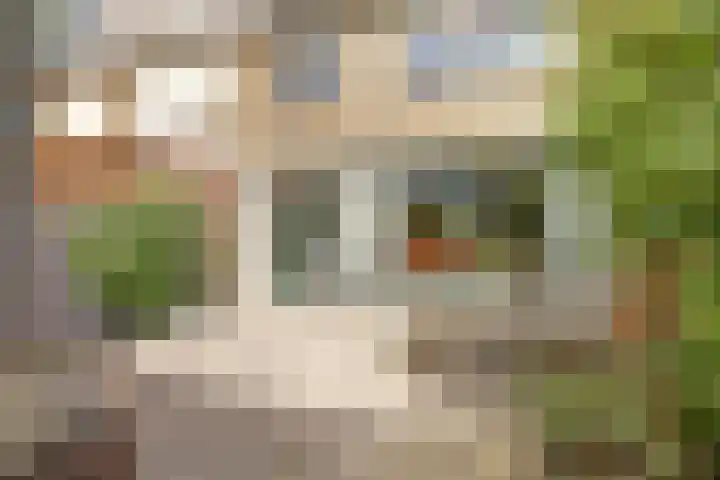 Esdoornlaan 54 Oudorp thumbnail 35