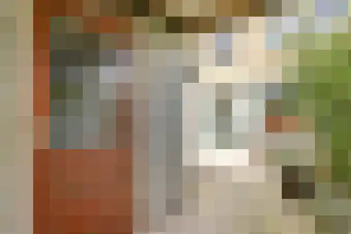 Esdoornlaan 54 Oudorp thumbnail 36