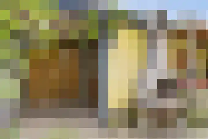 Esdoornlaan 54 Oudorp thumbnail 37