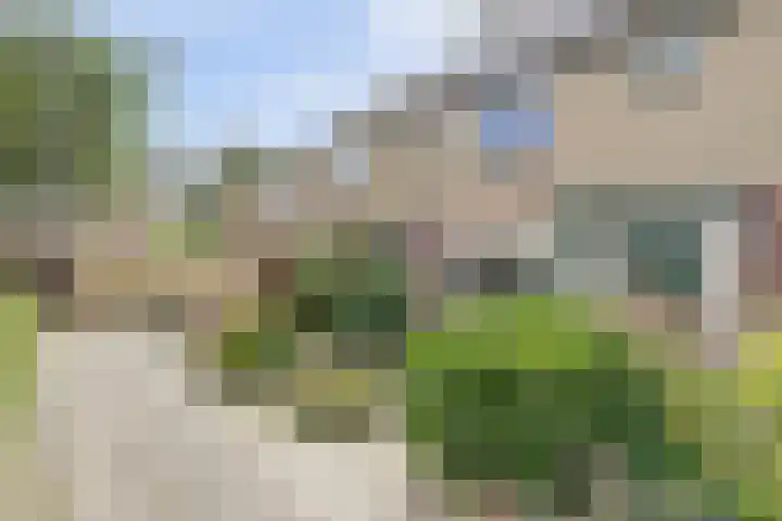 Esdoornlaan 54 Oudorp thumbnail 40