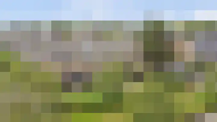 Esdoornlaan 54 Oudorp thumbnail 42