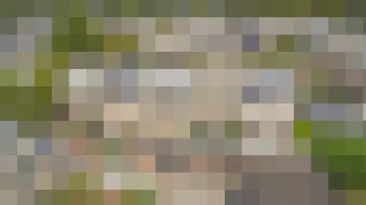 Esdoornlaan 54 Oudorp thumbnail 43