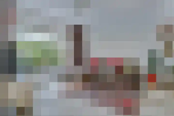 Esdoornlaan 54 Oudorp thumbnail 9