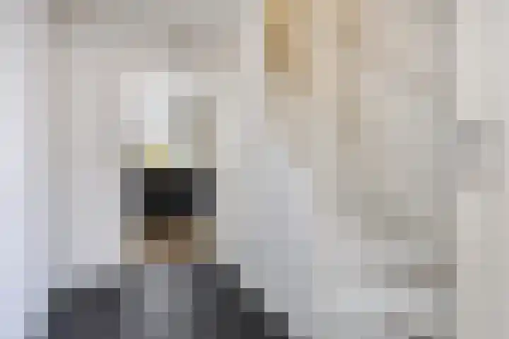 Esdoornlaan 56 Langenboom thumbnail 20