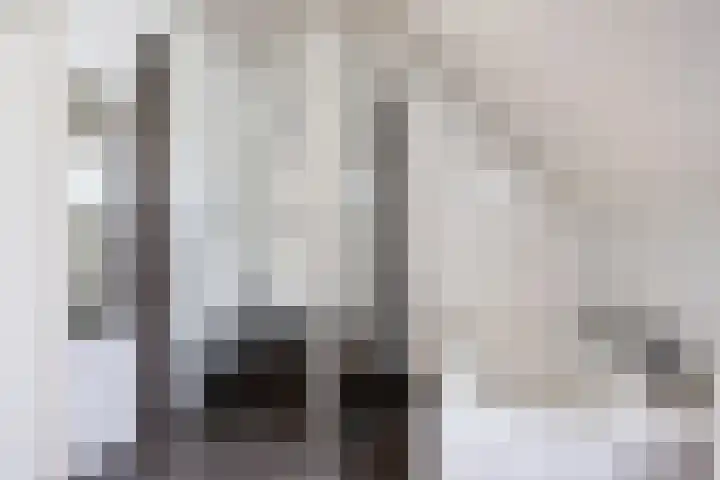Esdoornlaan 56 Langenboom thumbnail 30