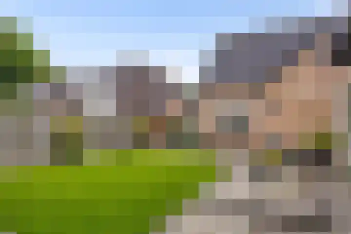 Esdoornlaan 56 Langenboom thumbnail 32