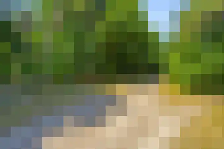 Esdoornlaan 56 Langenboom thumbnail 38