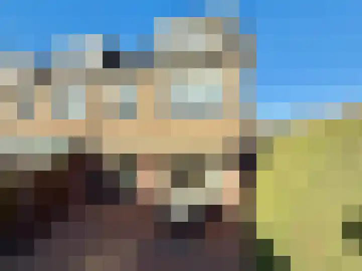 Esdoornlaan 56 Oudorp thumbnail 22