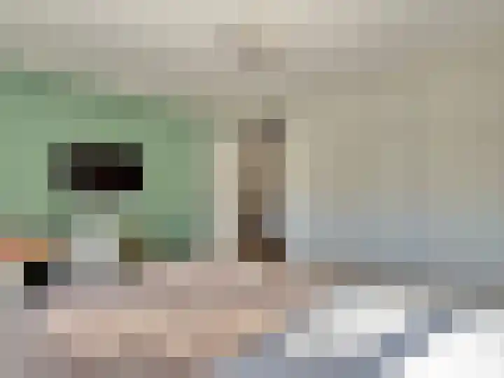 Esdoornlaan 56 Oudorp thumbnail 34