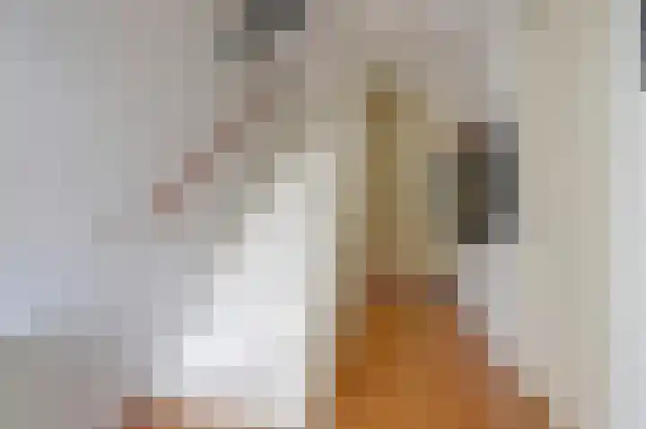 Esdoornlaan 56 Zaandam thumbnail 6