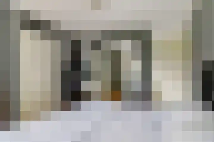 Esdoornlaan 56 Zaandam thumbnail 8