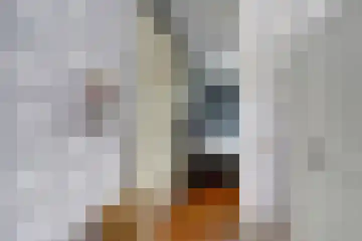 Esdoornlaan 56 Zaandam thumbnail 9