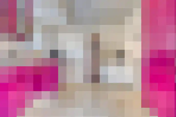 Esdoornlaan 6 Abbekerk thumbnail 11