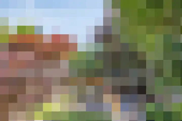 Esdoornlaan 6 Abbekerk thumbnail 20
