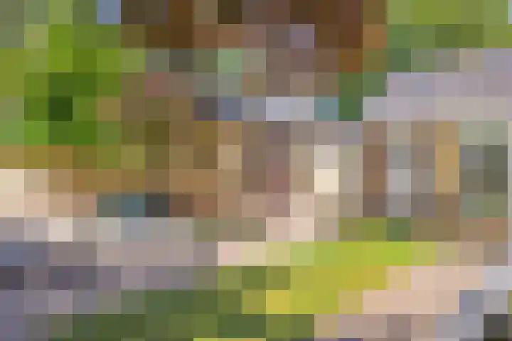 Esdoornlaan 6 Abbekerk thumbnail 21