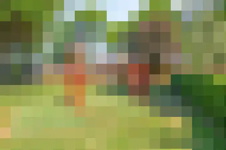 Esdoornlaan 6 Abbekerk thumbnail 22