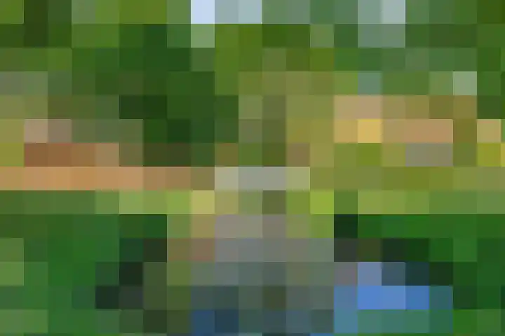 Esdoornlaan 6 Abbekerk thumbnail 23