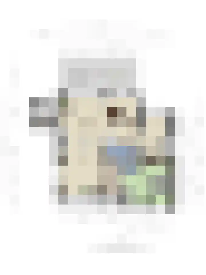 Esdoornlaan 6 Abbekerk thumbnail 25