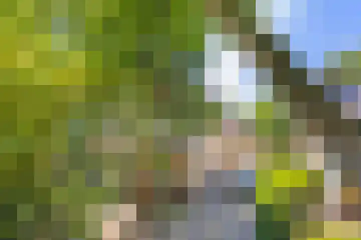 Esdoornlaan 6 Abbekerk thumbnail 5