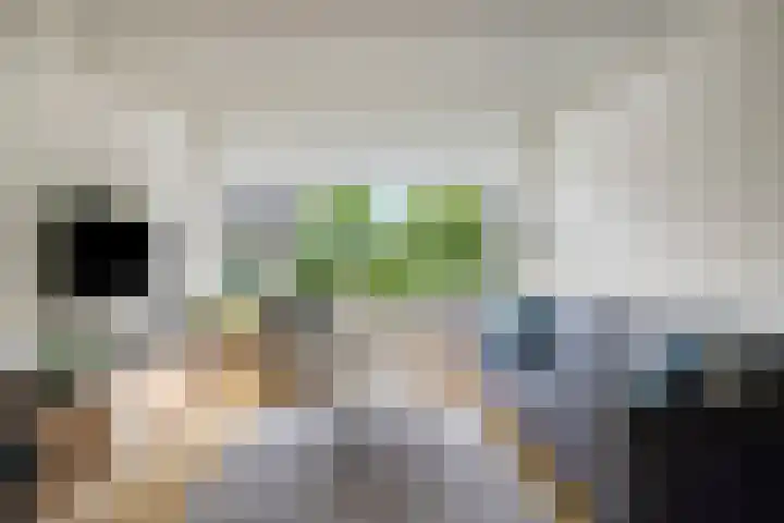 Esdoornlaan 6 Harmelen thumbnail 11