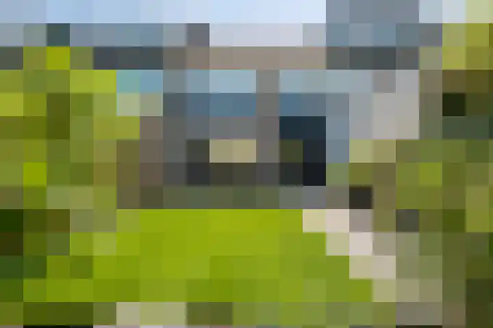 Esdoornlaan 6 Harmelen thumbnail 24