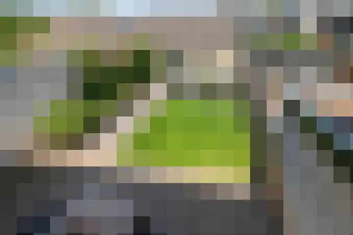 Esdoornlaan 6 Harmelen thumbnail 25