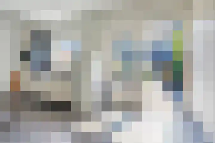 Esdoornlaan 6 Harmelen thumbnail 27