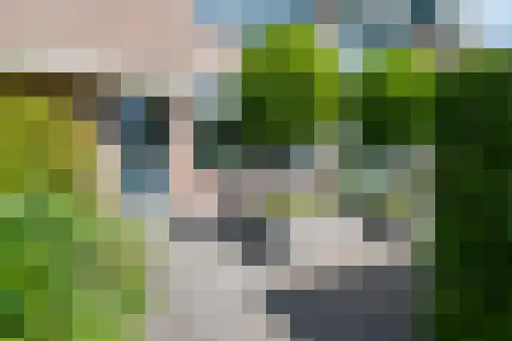 Esdoornlaan 6 Harmelen thumbnail 29