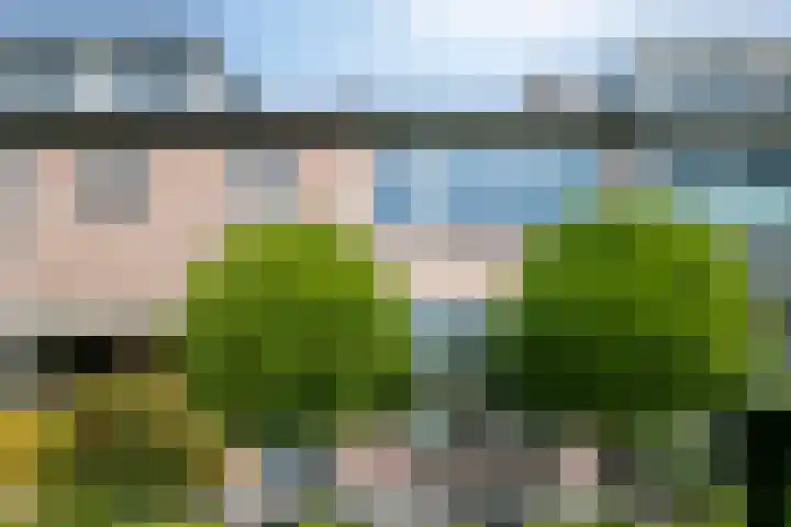 Esdoornlaan 6 Harmelen thumbnail 31