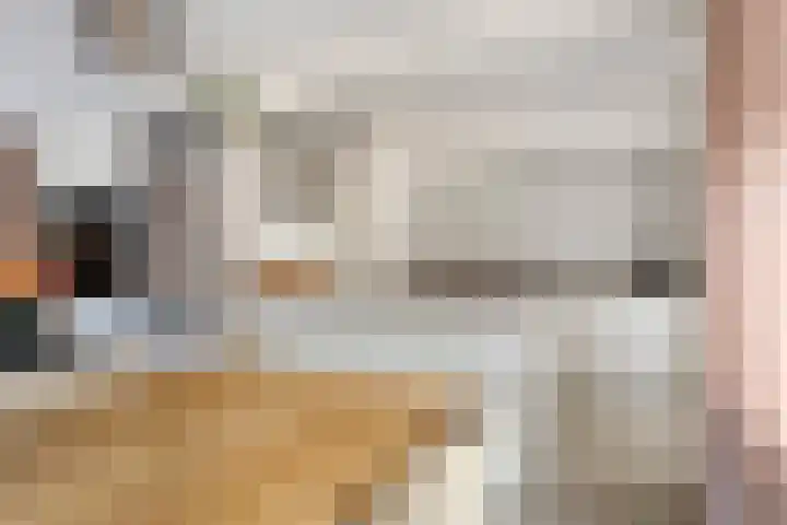 Esdoornlaan 6 Heerhugowaard thumbnail 11