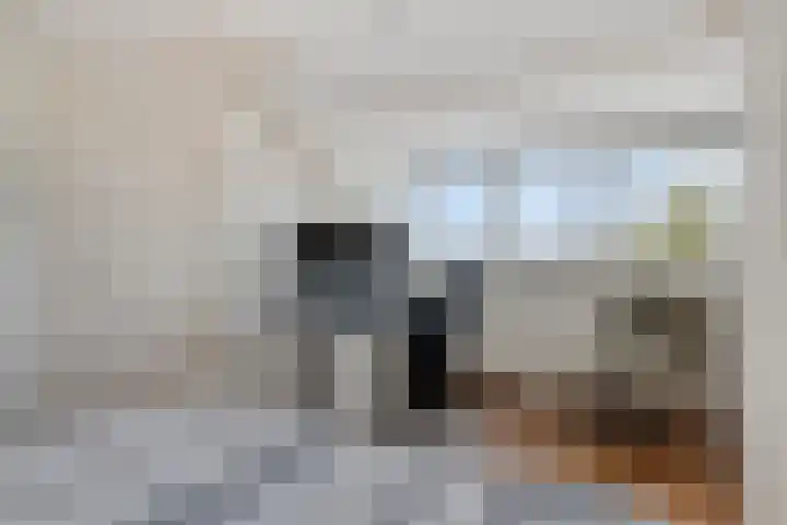 Esdoornlaan 6 Heerhugowaard thumbnail 24