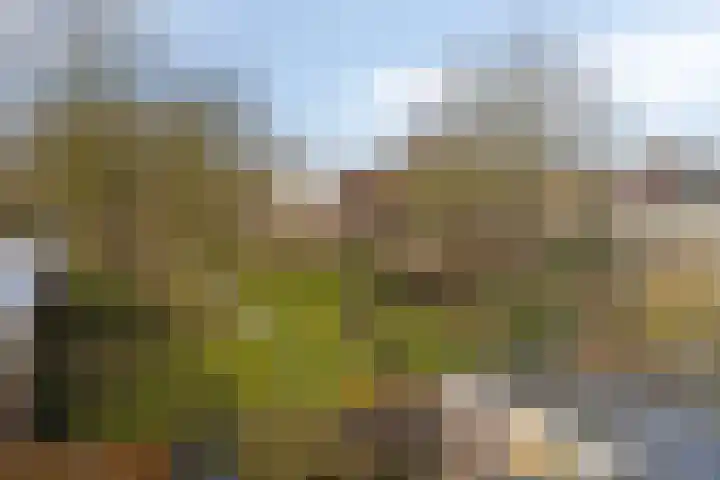Esdoornlaan 6 Heerhugowaard thumbnail 25